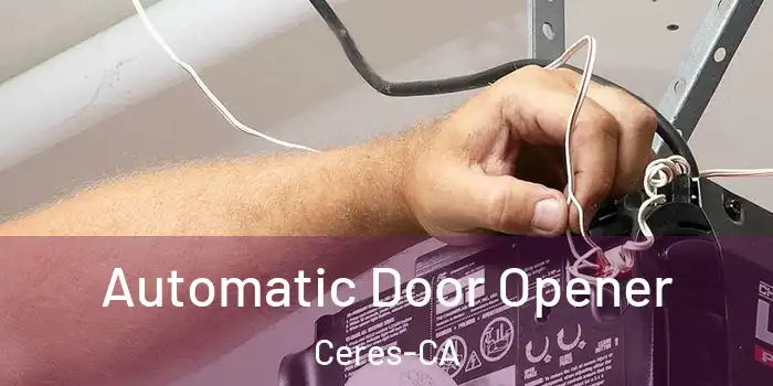  Automatic Door Opener Ceres-CA