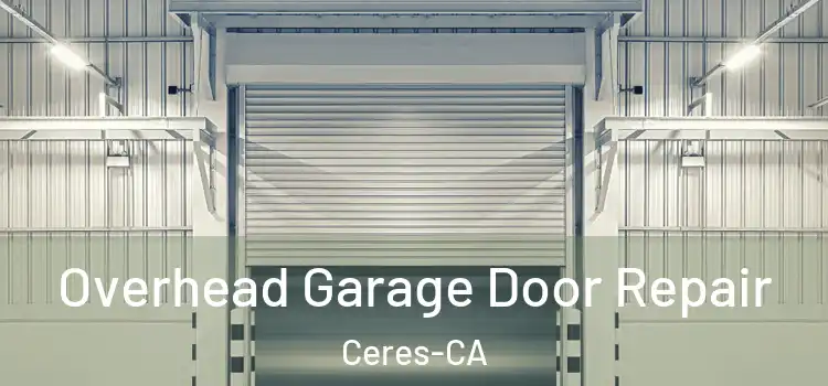  Overhead Garage Door Repair Ceres-CA