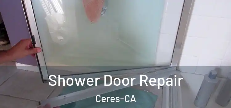  Shower Door Repair Ceres-CA