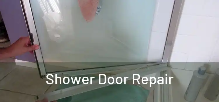  Shower Door Repair 